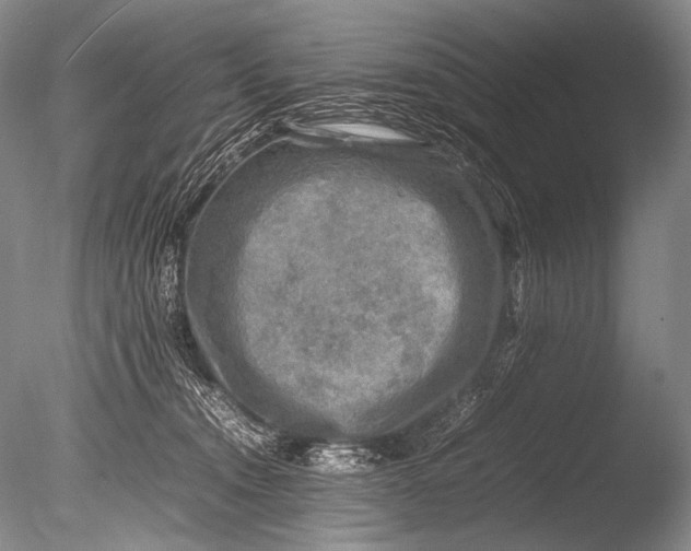 X0000085730372200703301408