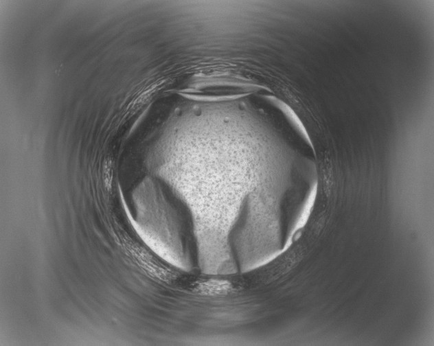 X0000085730374200703301408