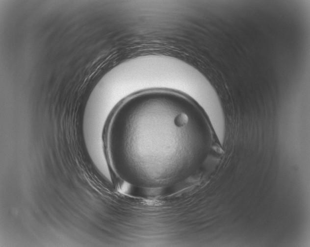 X0000085730376200703301408