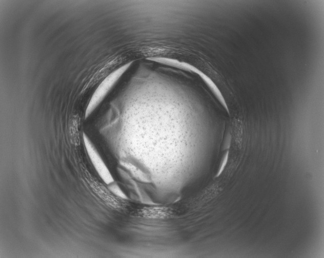 X0000085730378200703301408