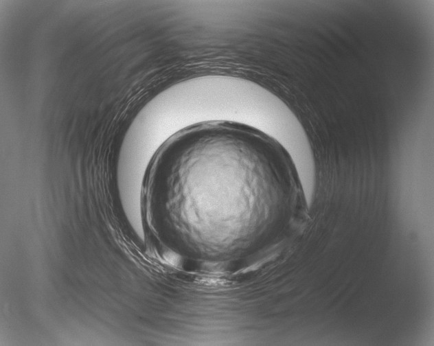 X0000085730380200703301408