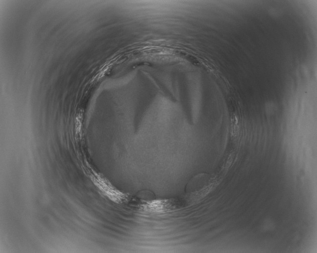 X0000085730382200703301408