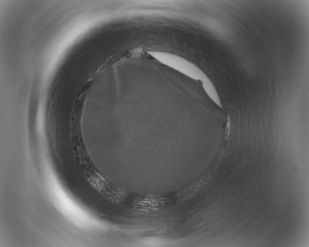 X0000085730383200703301408