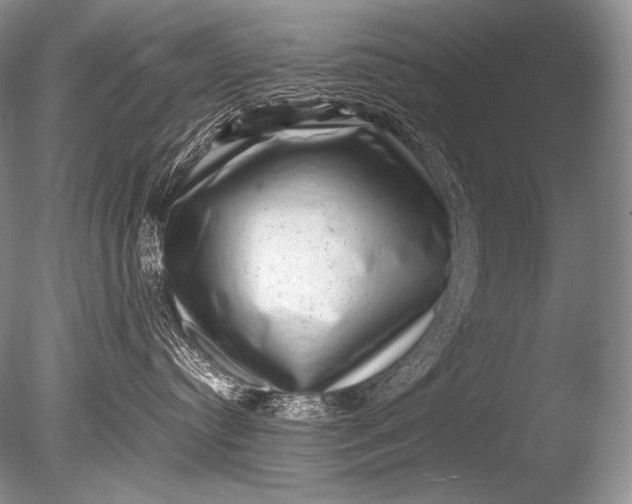 X0000085730384200703301408