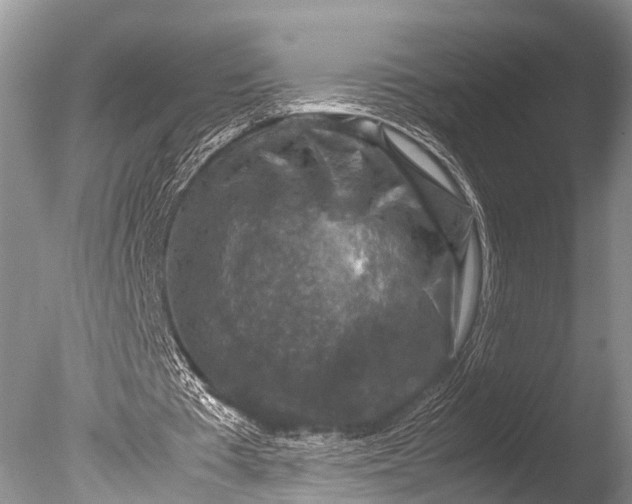 X0000085730385200703301407