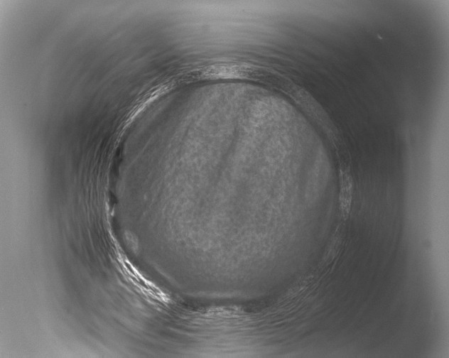 X0000085730386200703301407