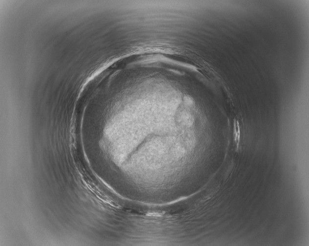 X0000085730388200703301407