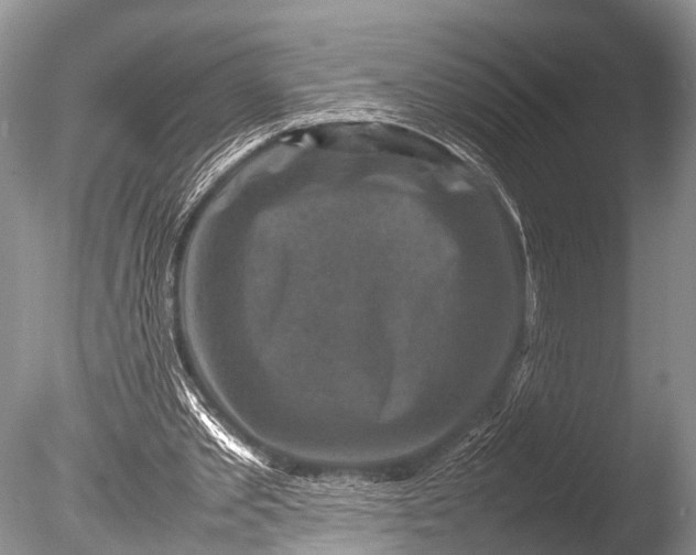 X0000085730389200703301407