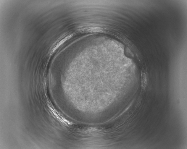 X0000085730390200703301407