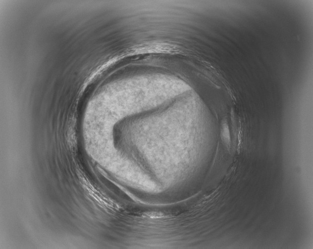 X0000085730392200703301407