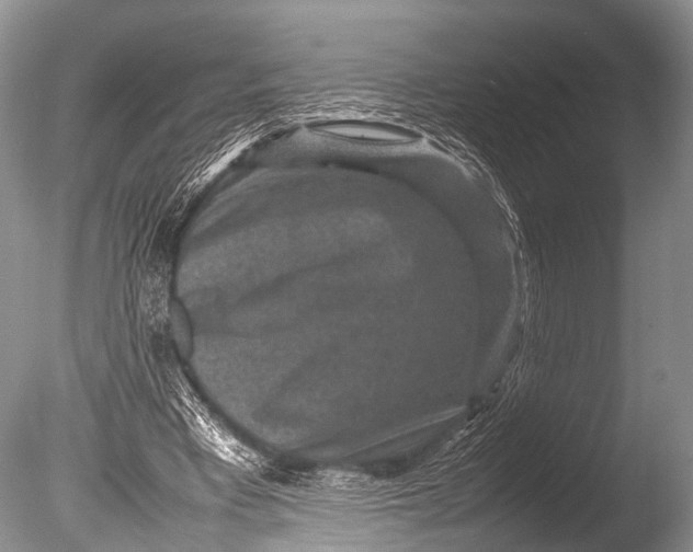 X0000085730393200703301407