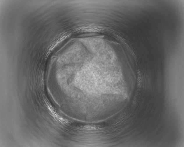 X0000085730394200703301407