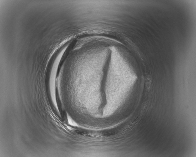 X0000085730395200703301407