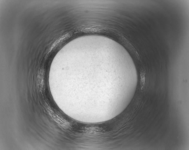 X0000085730396200703301407