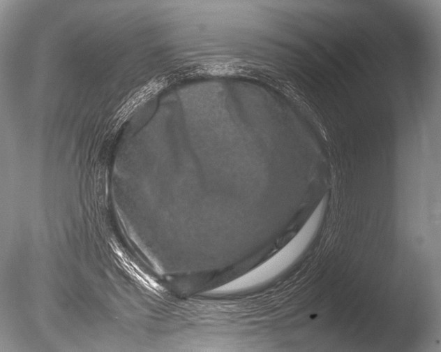 X0000085730397200703301407