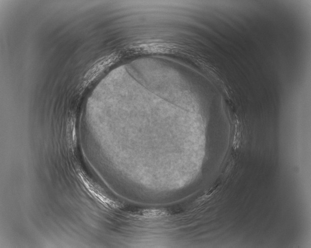 X0000085730398200703301407