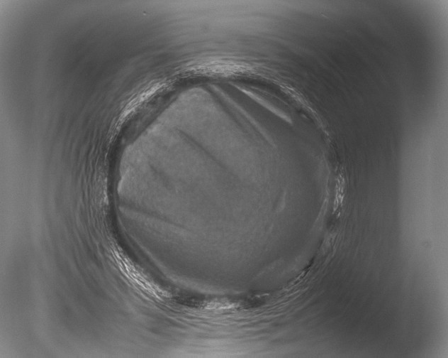 X0000085730399200703301407