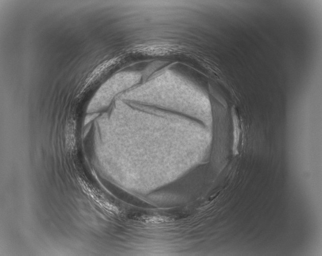 X0000085730400200703301407