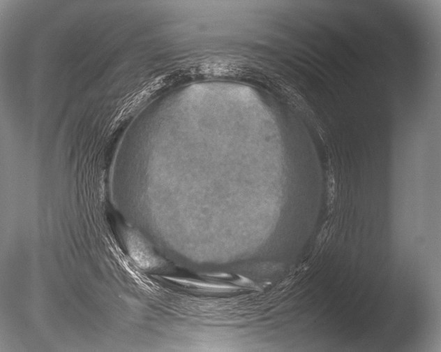 X0000085730401200703301407