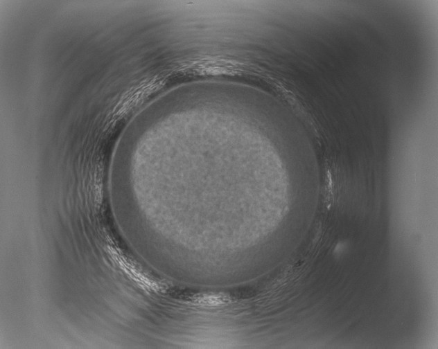 X0000085730402200703301407