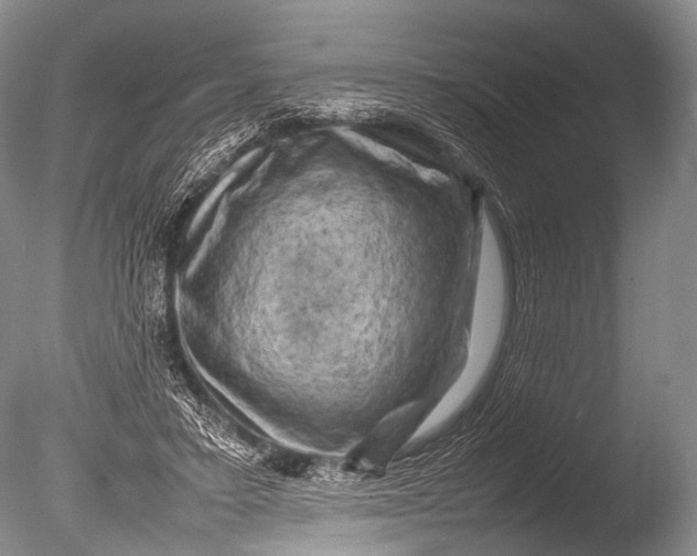 X0000085730403200703301407