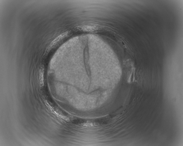 X0000085730404200703301407