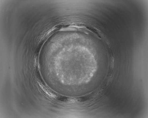 X0000085730405200703301407