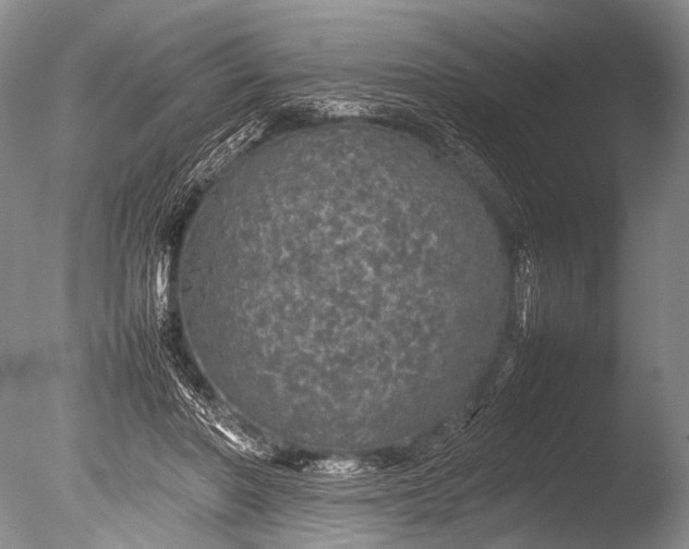 X0000085730406200703301407