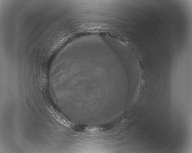 X0000085730407200703301407