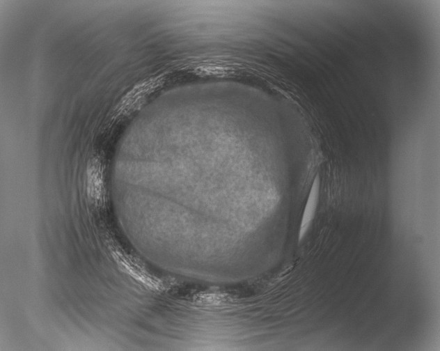 X0000085730408200703301407