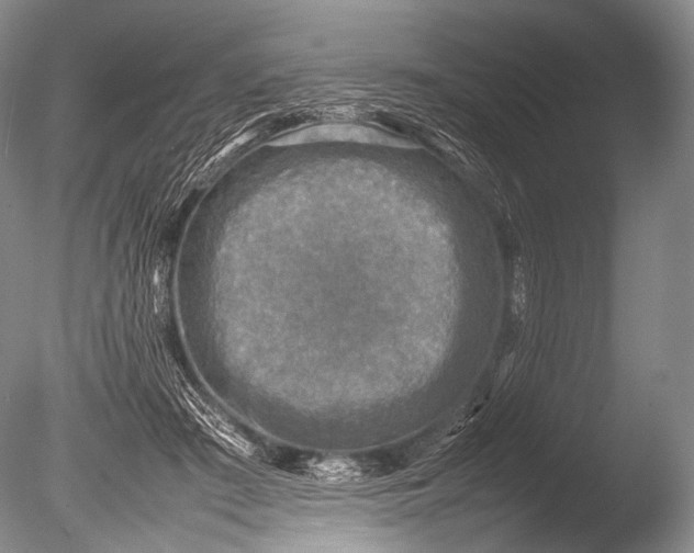 X0000085730409200703301407