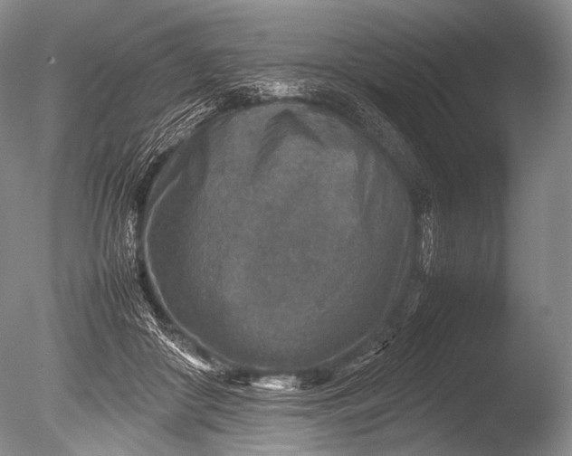 X0000085730410200703301407