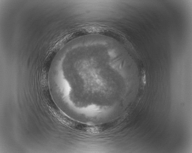 X0000085730411200703301407