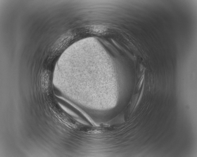 X0000085730412200703301407