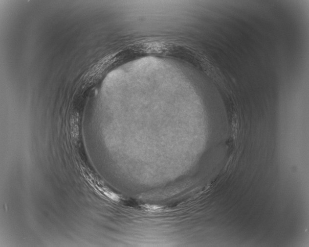 X0000085730413200703301407