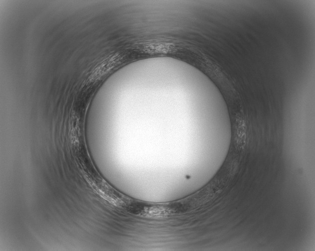 X0000085730414200703301407