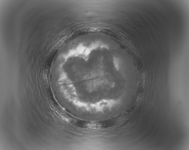 X0000085730415200703301407