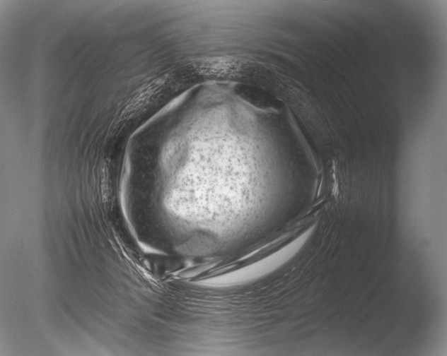 X0000085730416200703301407