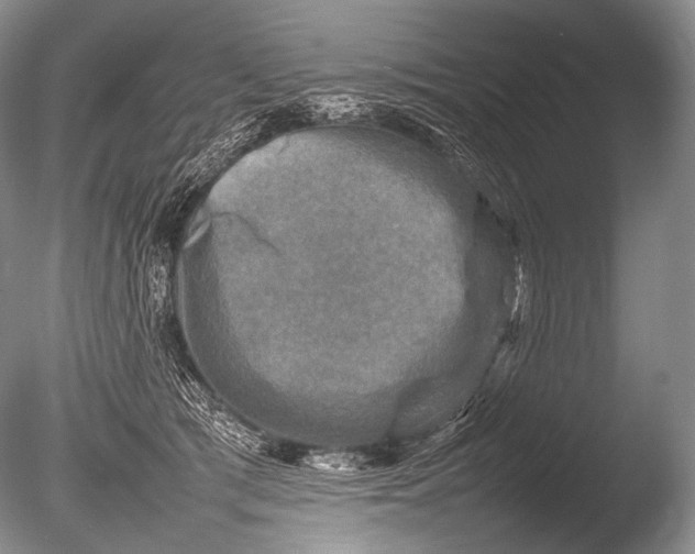 X0000085730417200703301407