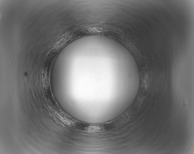 X0000085730418200703301407