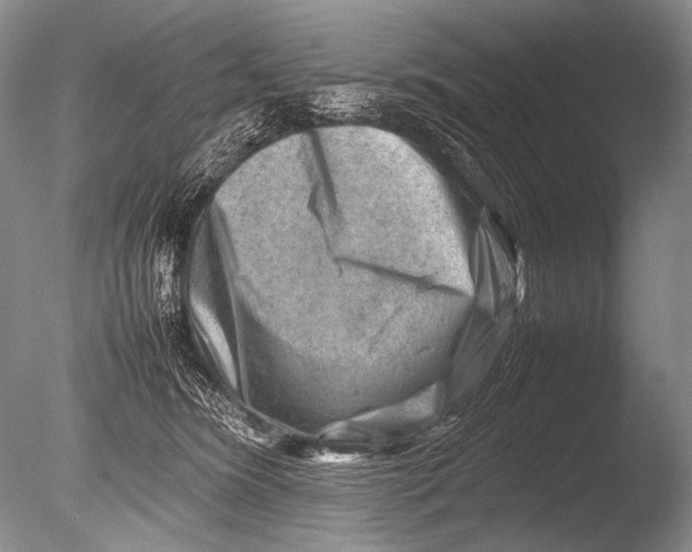 X0000085730420200703301407