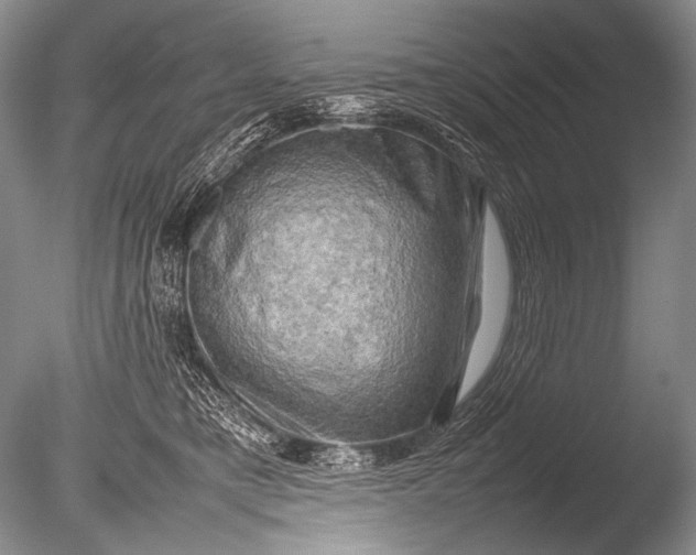 X0000085730421200703301407