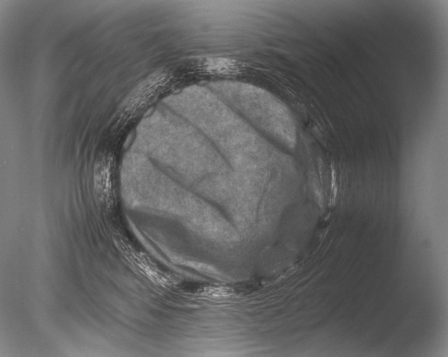 X0000085730424200703301406