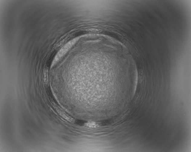 X0000085730425200703301406