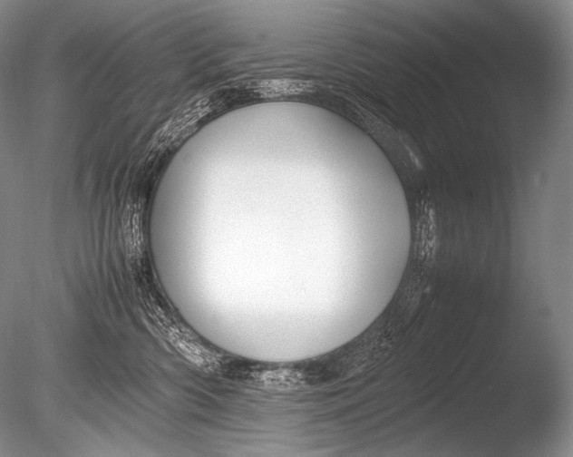 X0000085730426200703301406