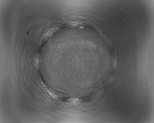 X0000085730427200703301406