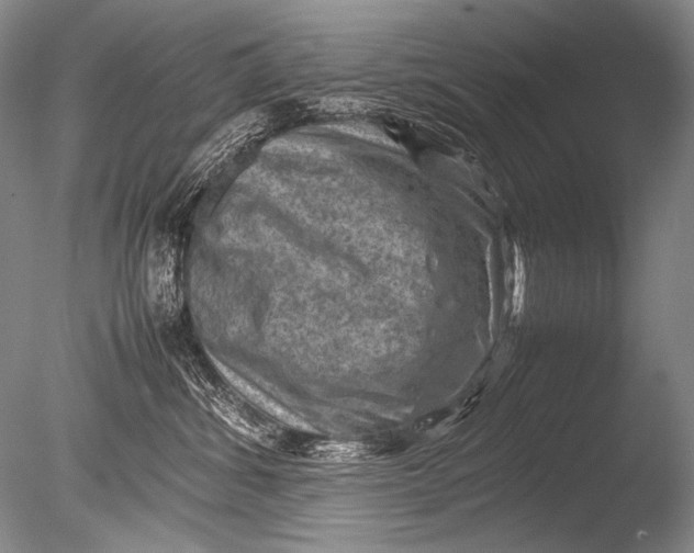 X0000085730428200703301406