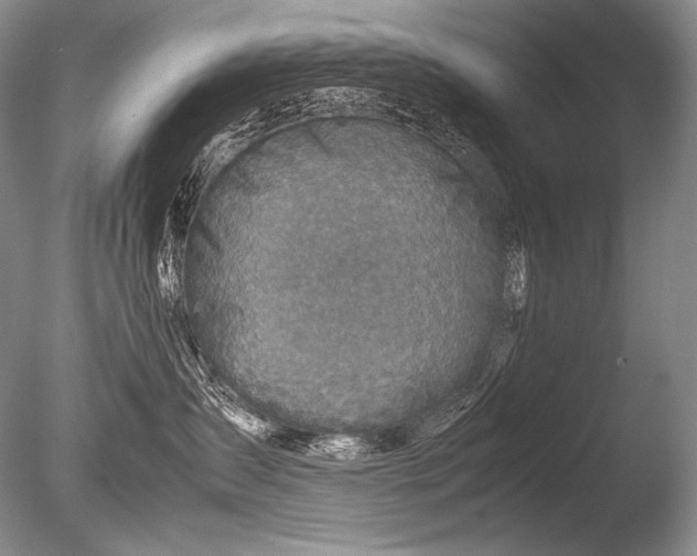 X0000085730431200703301406