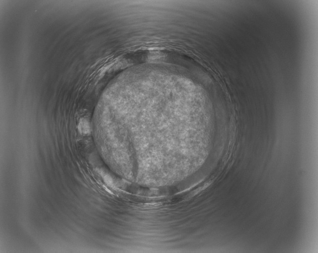 X0000085730432200703301406