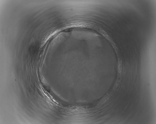 X0000085730434200703301406